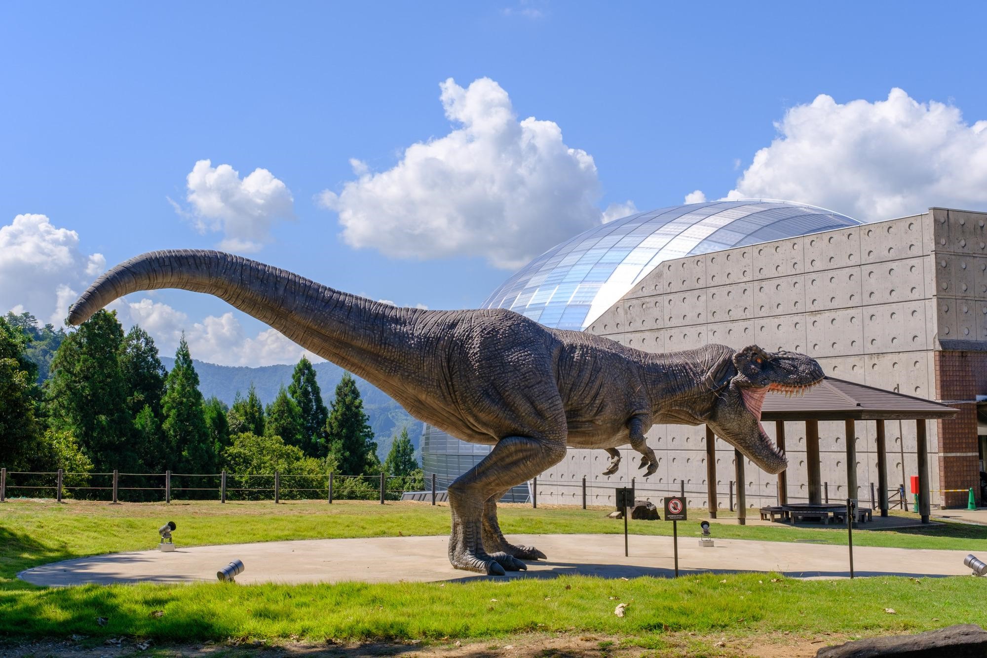 福井県のキッチンカー開業ガイド！出店場所・補助金・許可申請