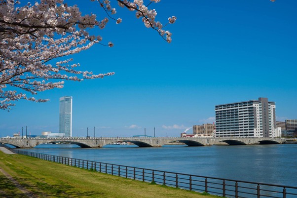 新潟県のキッチンカー開業ガイド！出店場所・補助金・許可申請